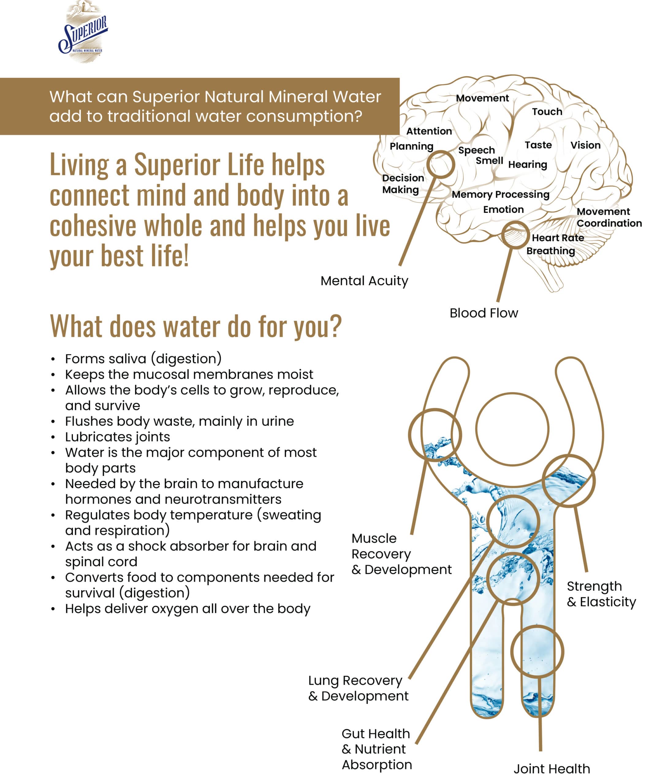 Image of the Superior Natural Mineral Water Mineral Benefit Chart; complete the form on this page to receive your copy.